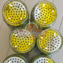 Salamura Kekik ( YENİ SEZON ) 10 Adet