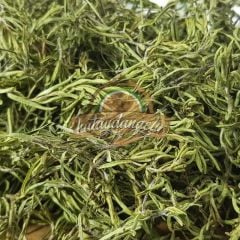 Hataydangelir Kuru Dağ Kekik Baharatı ( Zahter )