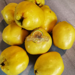 Ayva Reçeli 660cc Kavanoz