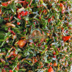 Kekik Salatası ve Çeşitleri