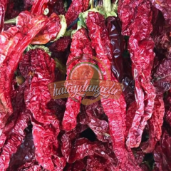 Hatay Baş Biber Kurusu